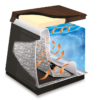 Neptun Special Edition – Tahiti - Bild 4